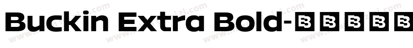 Buckin Extra Bold字体转换